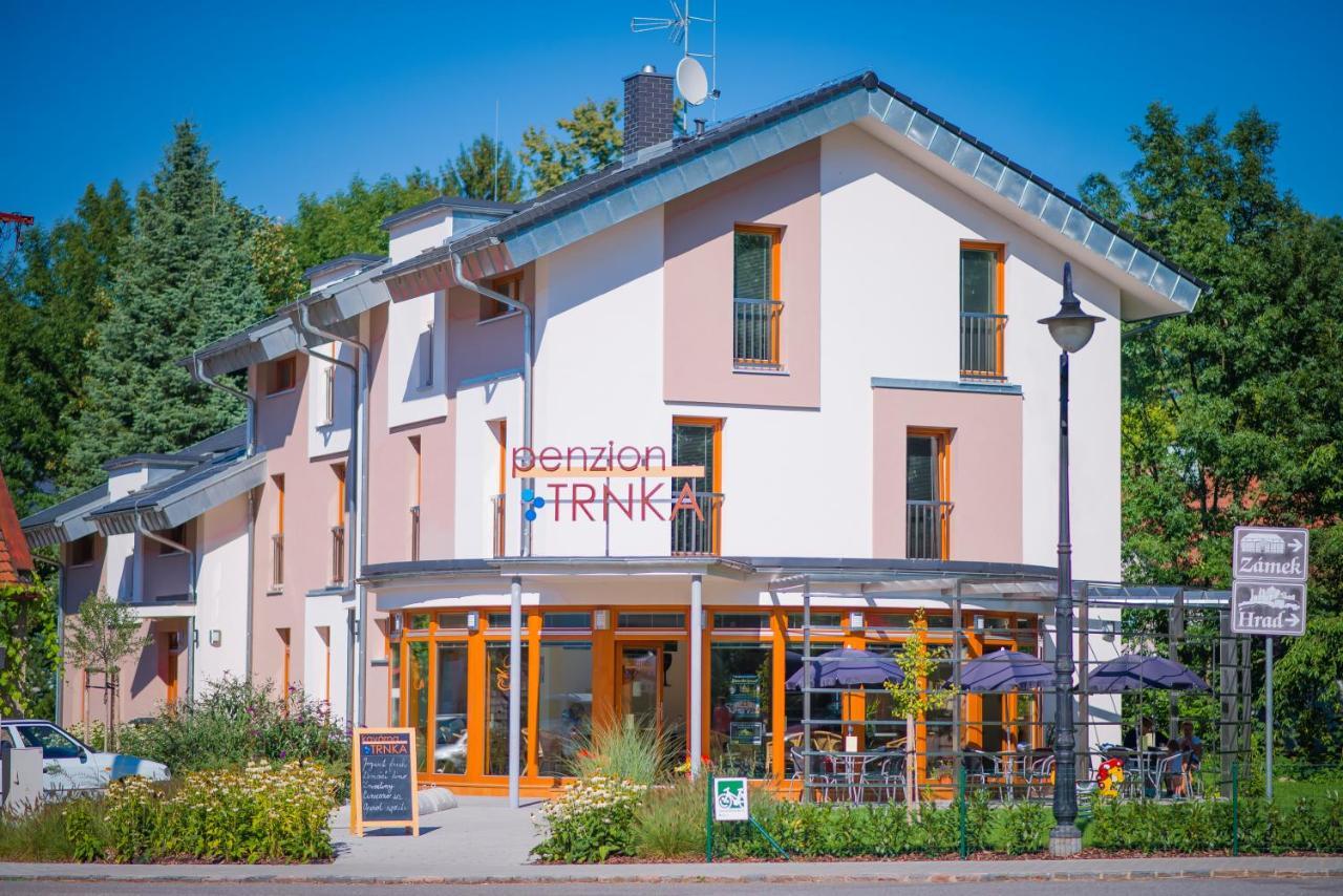 Penzion Trnka Potštejn Exteriör bild